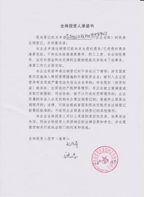 菏澤鑫鼎金融軟件服務外包與臧彬彬 專業軟件外包服務的探索與實踐